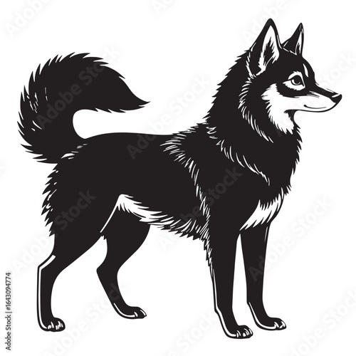 black alaskan kleekai  Silhouette Vector, High Quality Illustration on White Background
