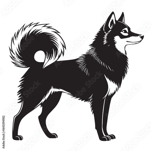 black alaskan kleekai  Silhouette Vector, High Quality Illustration on White Background