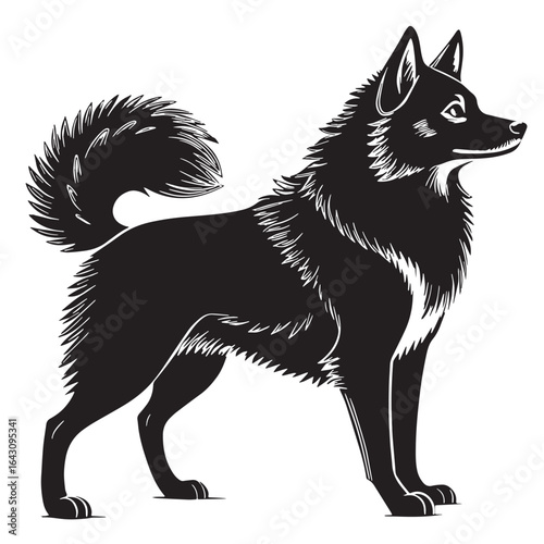 black alaskan kleekai  Silhouette Vector, High Quality Illustration on White Background
