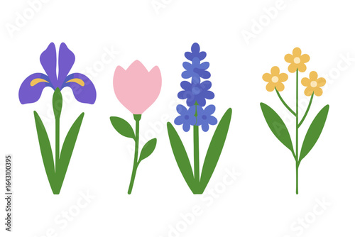Colorful spring flowers displayed in a garden arrangement featuring iris, tulip, hyacinth, and forget-me-not blossoms