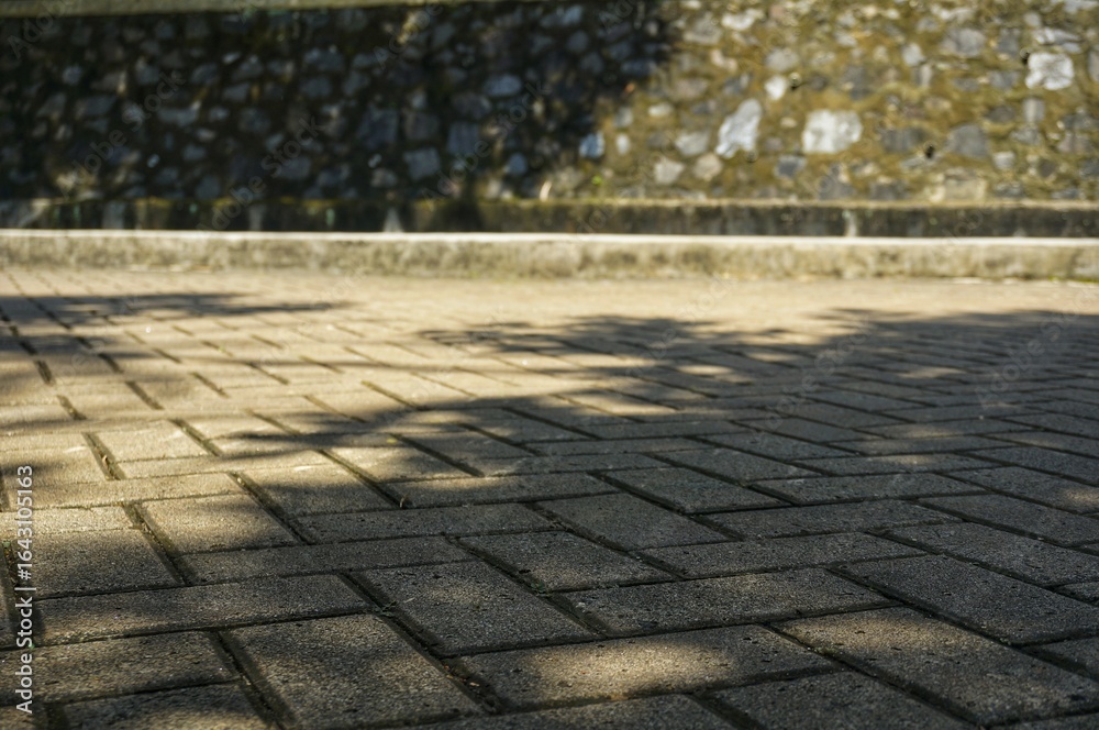 Fototapeta premium A high-resolution photo of an interlocking paving block pattern, ideal for urban design backgrounds, construction presentations, or real estate marketing. Its symmetrical, clean texture.