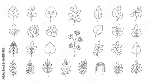 Collection of stylized black and white tree illustrations for architectural design and visual projects