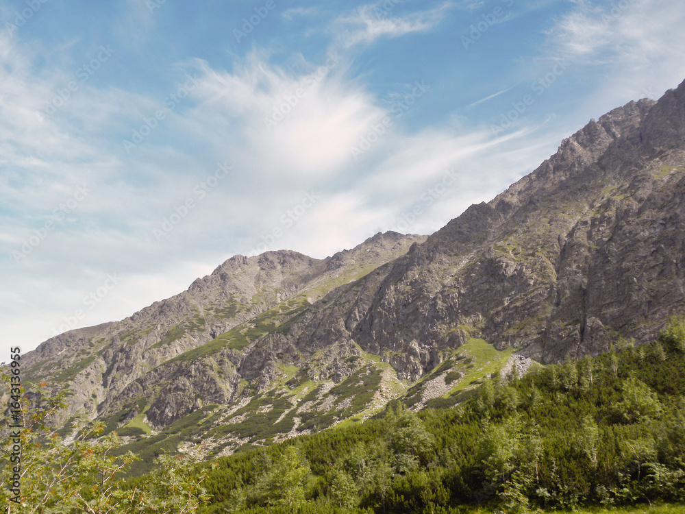 Fototapeta premium mountains on a summer day