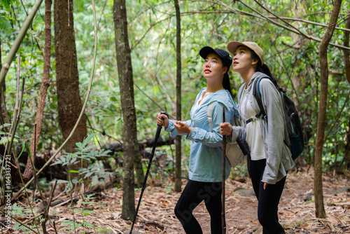 Billede på lærred Hikers exploring lush forest trail, embracing nature's wonders