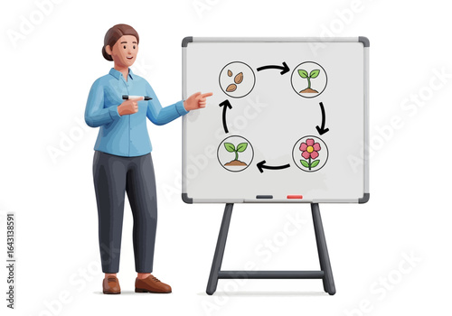 Teacher Explaining Plant Life Cycle on Whiteboard