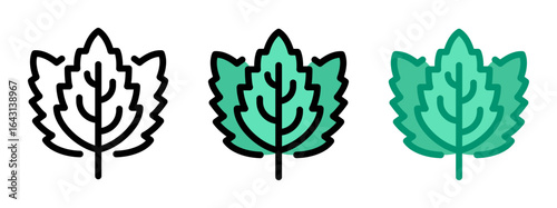Mint leaves icon. Mint leaf, line and fill icon. Outline, filled, and color versions. Vector illustration with editable stroke. Isolated on transparent background.