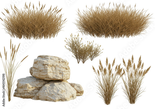 Collection of dry grass plants and rocks, isolated on transparent background