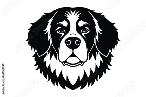 A black and white illustration shows a noble Bernese Mountain Dog head