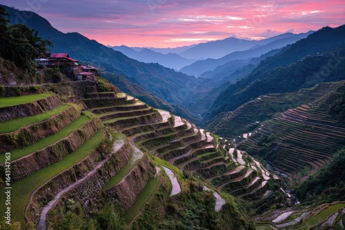 Lush terraced rice paddies in a valley at sunset
