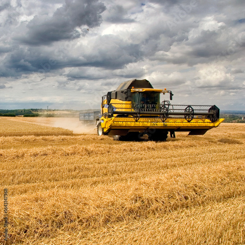 Combine Harvester working in Cornfield England
