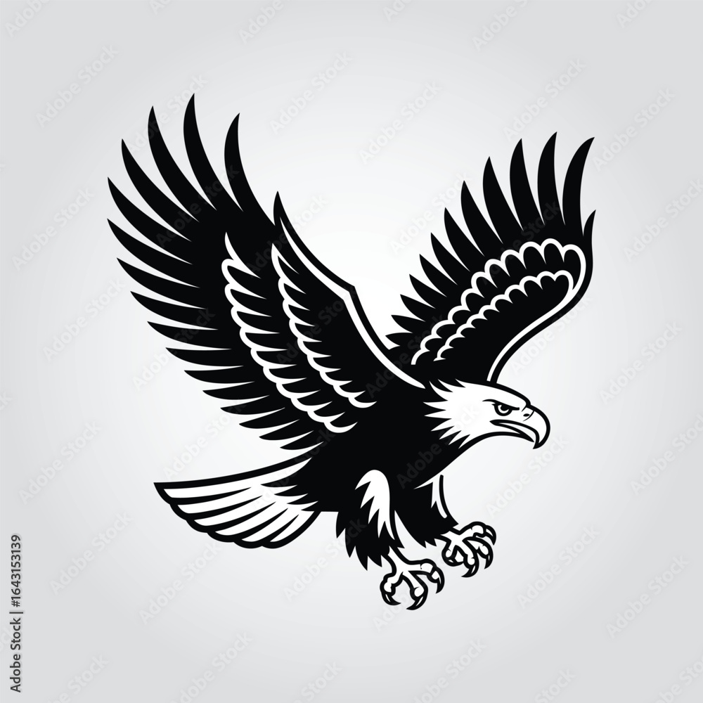 Fototapeta premium Black eagle with wings spread landing bird flying