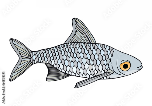 Outline vector fish. Hand dra...