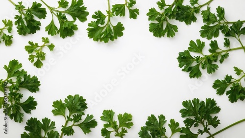 Group of green parsley leav...