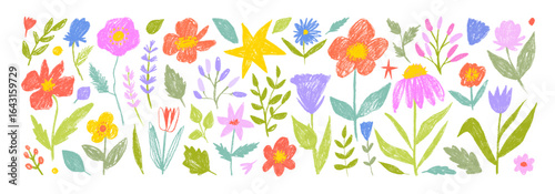 Funky childish crayon drawn flowers, meadow plants and stems.