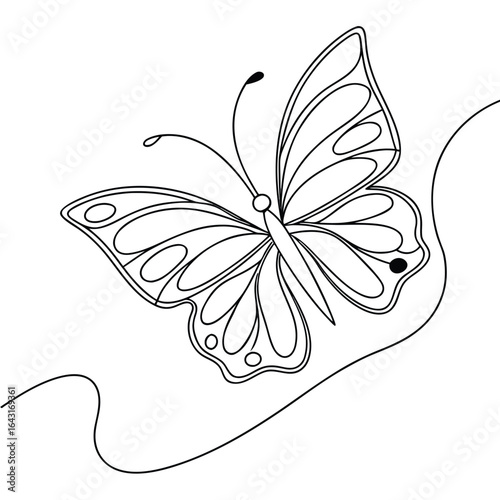 black and white butterfly on white