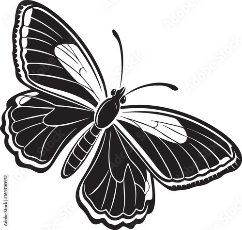 Stylized black and white butterfly with elegant wing patterns