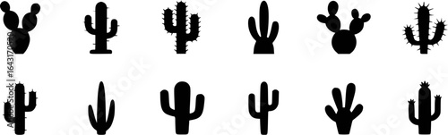 Diverse black cactus silhouettes with varied shapes and spines desert plant