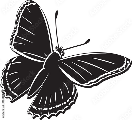 Simple black and white butterfly illustration with bold wings