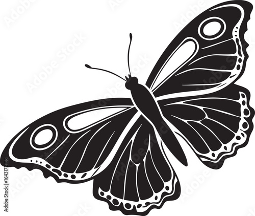 Elegant black and white butterfly with patterned wings