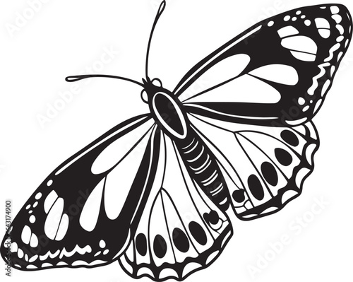 Black and white butterfly illustration with spotted wings