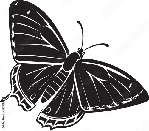 Black butterfly silhouette with white outlined wing details