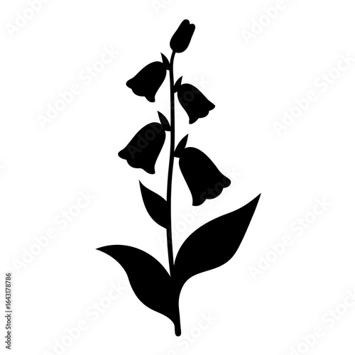 Black silhouette of a foxglove flower with unopened buds and leaves