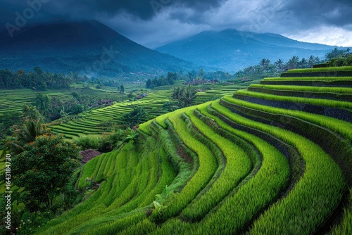 Lush green rice terraces cascading down a mountainside under a dramatic sky