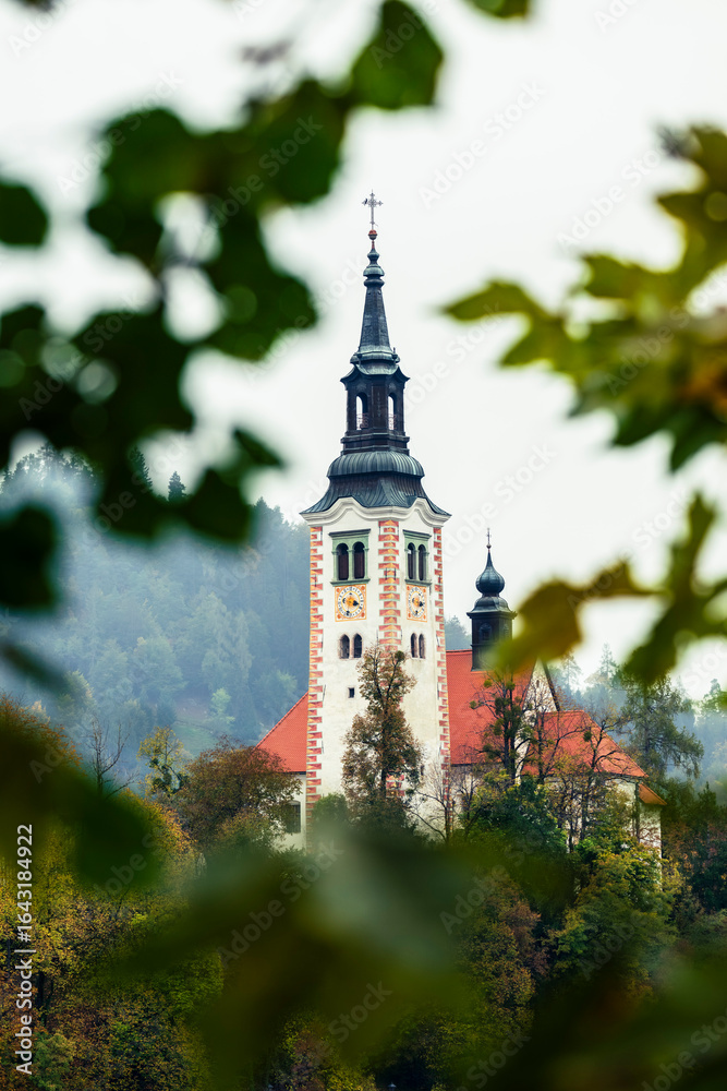 Obraz premium The magical atmosphere of Lake Bled in autumn. Among boats and mystical charm. Slovenia