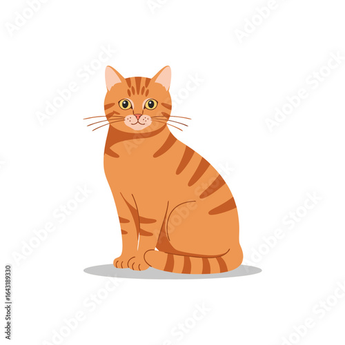 Adorable ginger tabby cat sitting and looking forward. Cute orange domestic pet cartoon vector illustration isolated on a white background.