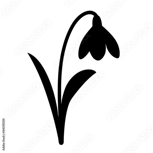 Simple snowdrop flower illustration with dark silhouette on white background style