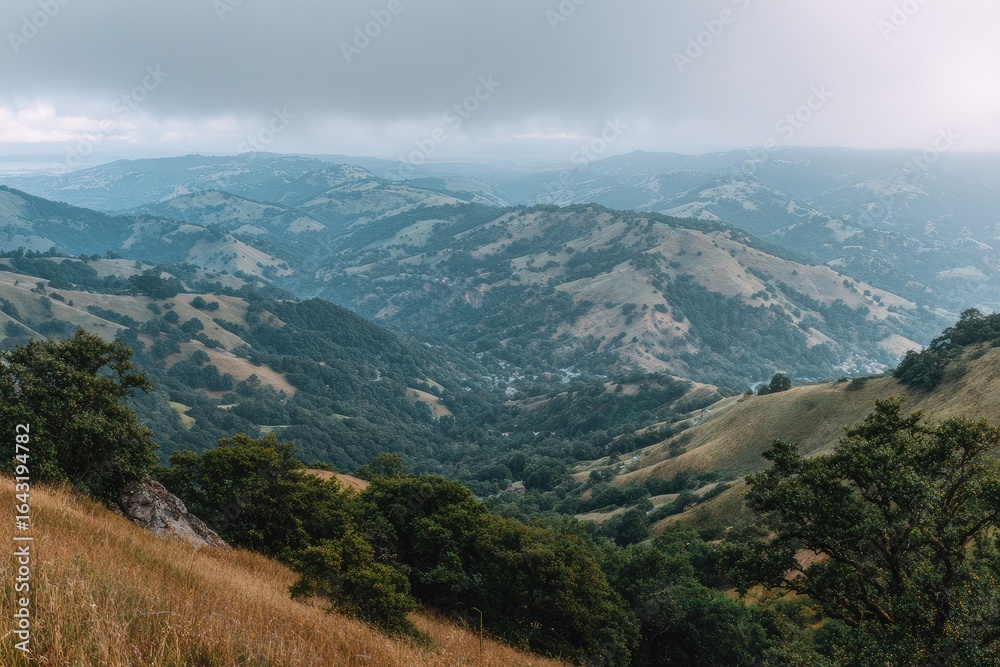 Fototapeta premium Misty mountain valley view from high point