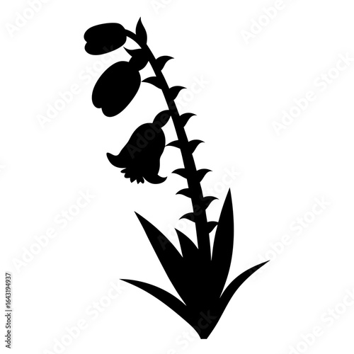 Silhouette Illustration of a Foxglove Flower with a Tall Stem and BellShaped Blooms