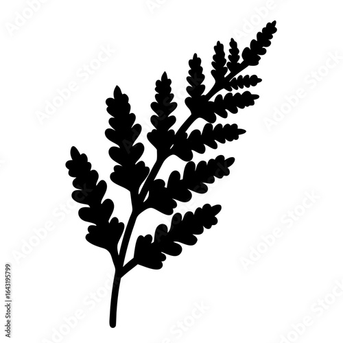 Stylized fern frond silhouette in black, with a minimalist vector aesthetic