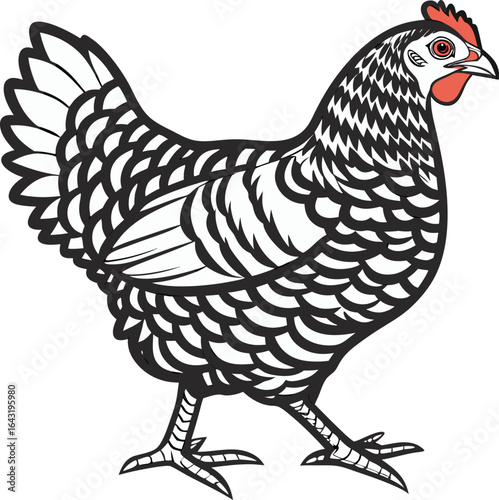 Chicken cartoon animal hen and rooster isolated on white background farm bird fowl illustration