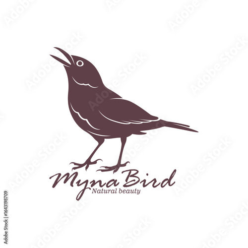 Myna Bird logo design vector. Silhouette Myna Bird Template Illustration