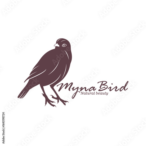 Myna Bird logo design vector. Silhouette Myna Bird Template Illustration