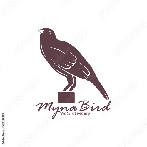Myna Bird logo design vector. Silhouette Myna Bird Template Illustration