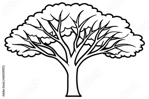 Outlined tree displays broad canopy with winding branches on a white background vector