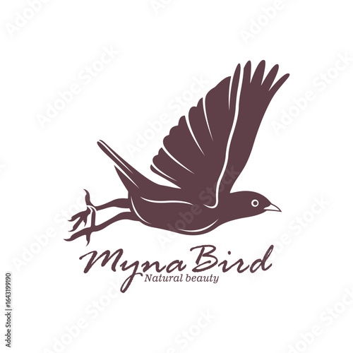 Myna Bird logo design vector. Silhouette Myna Bird Template Illustration