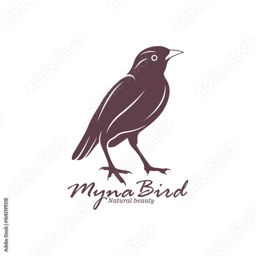 Myna Bird logo design vector. Silhouette Myna Bird Template Illustration
