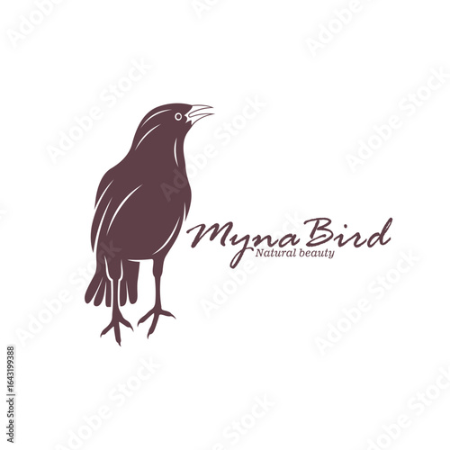 Myna Bird logo design vector. Silhouette Myna Bird Template Illustration