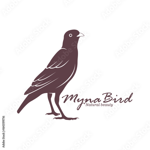 Myna Bird logo design vector. Silhouette Myna Bird Template Illustration