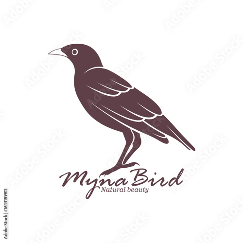 Myna Bird logo design vector. Silhouette Myna Bird Template Illustration
