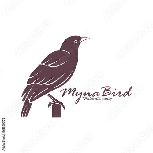 Myna Bird logo design vector. Silhouette Myna Bird Template Illustration