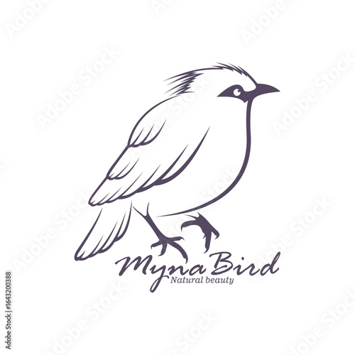 Bali Myna Bird logo design vector. Silhouette Myna Bird Template Illustration
