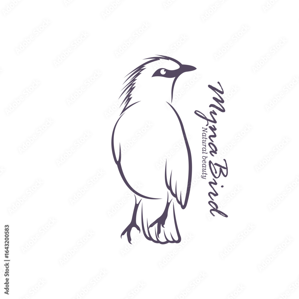 Fototapeta premium Bali Myna Bird logo design vector. Silhouette Myna Bird Template Illustration