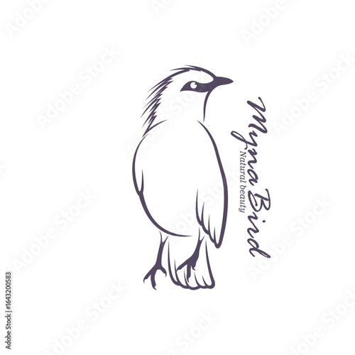 Bali Myna Bird logo design vector. Silhouette Myna Bird Template Illustration