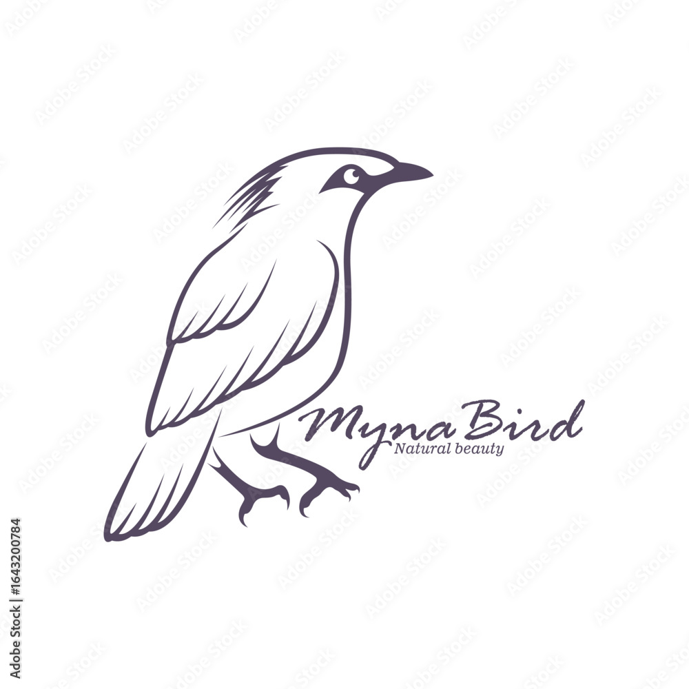 Obraz premium Bali Myna Bird logo design vector. Silhouette Myna Bird Template Illustration