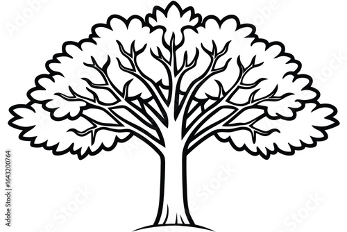 Solitary tree with black outline displays bare branches and leafy foliage against white