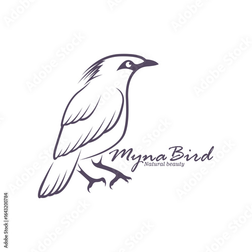 Bali Myna Bird logo design vector. Silhouette Myna Bird Template Illustration